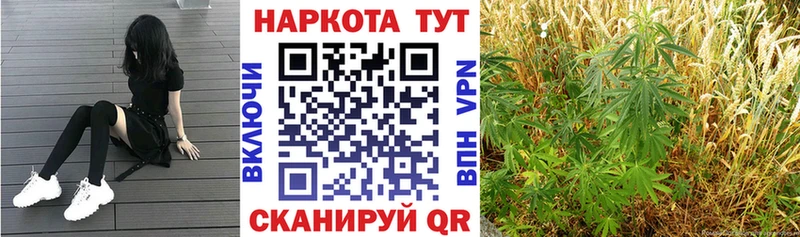 Наркошоп Фролово АМФЕТАМИН  Псилоцибиновые грибы  А ПВП 