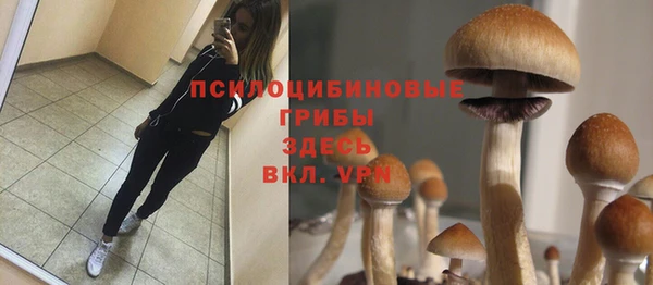 каннабис Пестово