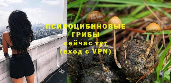 дмт Переславль-Залесский