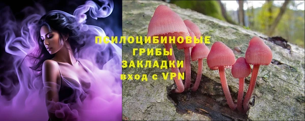 дурь Осинники