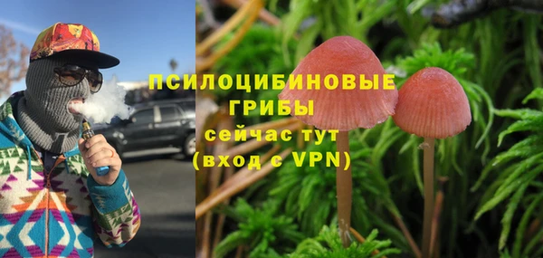 дурь Осинники