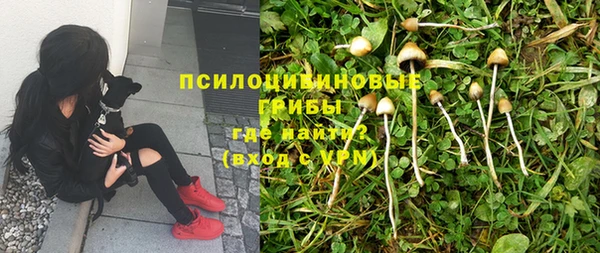 ГАЛЛЮЦИНОГЕННЫЕ ГРИБЫ Осташков