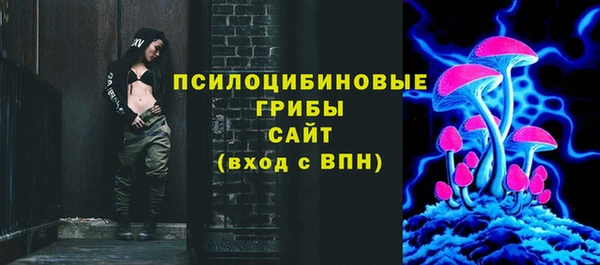 дмт Переславль-Залесский