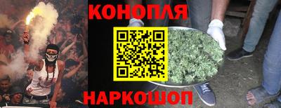 бошки Гусь-Хрустальный