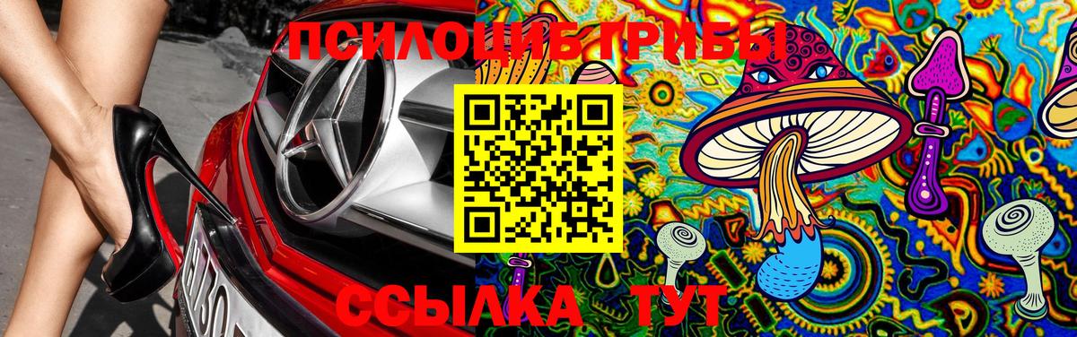 Псилоцибиновые грибы MAGIC MUSHROOMS Фролово