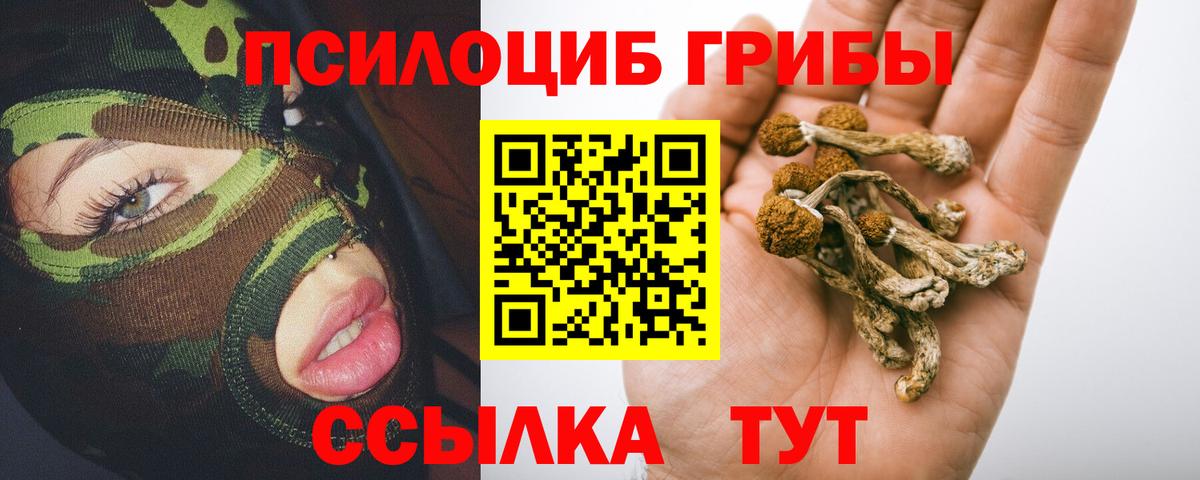 Псилоцибиновые грибы Psilocybe  Галлюциногенные грибы прущие грибы  Фролово 