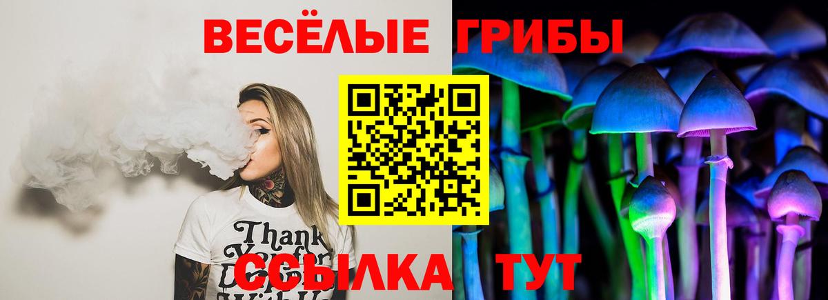 Фролово  Галлюциногенные грибы прущие грибы  Псилоцибиновые грибы Psilocybe  купить закладку  Вход с VPN 